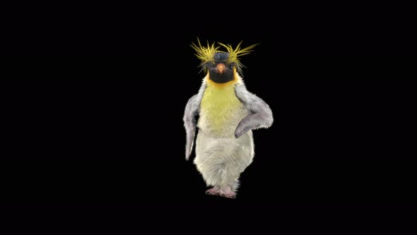66 Penguin Dancing 4K alt