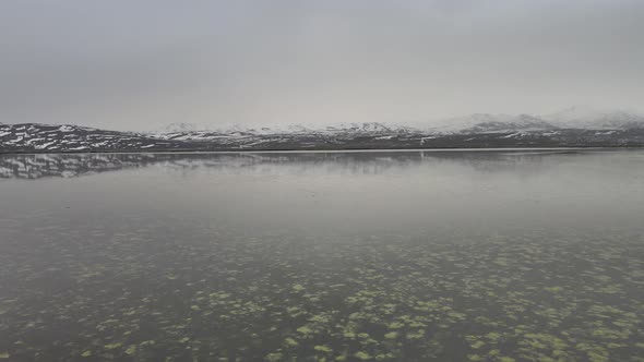 moss water snowy mountains alt