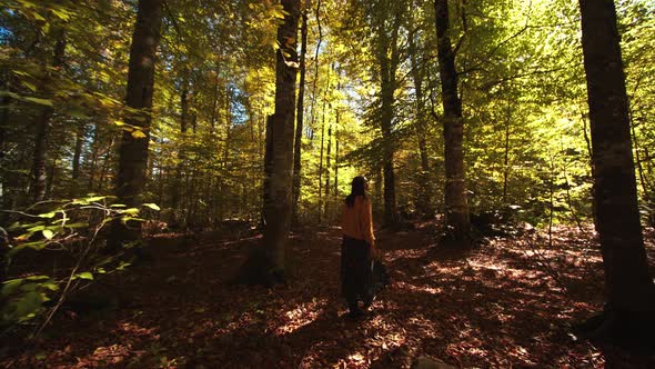 View of Woman's Back Walking Along the Gorgeous Trees and Turning Around Herself in Scenic Autumn