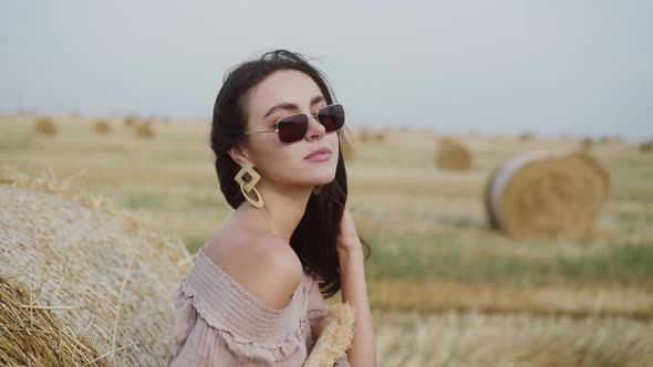 Elegant Lady in Sunglasses Poses with Blowing Hair at Haystack in Field alt
