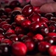 Hand is adding more cranberries to table with many cranberries - VideoHive Item for Sale