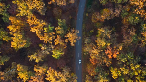 Aerial View on Car Driving Through Autumn Forest Road alt