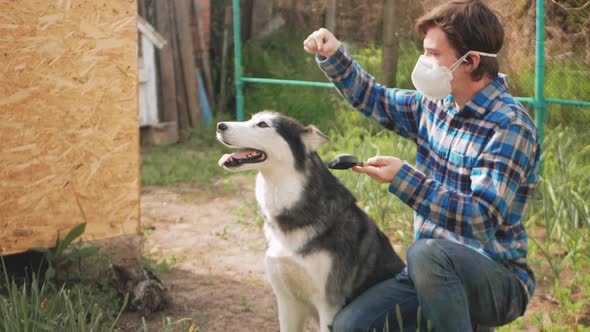 Man in Protective Mask Combs Dog's Hair Spring Molting Allergies to Wool and Dust