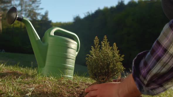 Volunteers Planting a Tree alt
