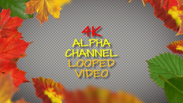 Autumn & Leaf Frame and Transitions 4K