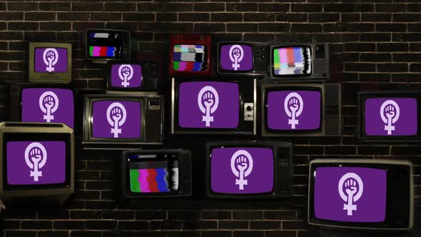Feminist Flags and Old Retro Televisions. alt