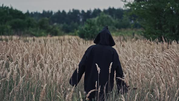 Ghost wandering in nature. Hooded ghostly figure in countryside field alt