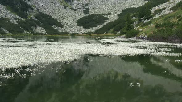 Upper Vasilashko Lake  alt