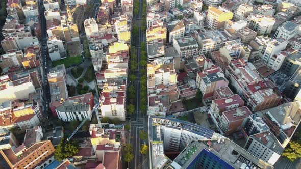 Aerial Morning Cityscape of Barcelona with Residential Districts Spain alt