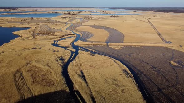 Aerial view of the lake overgrown with brown reeds, lake Pape nature park, Rucava, Latvia, sunny spr alt