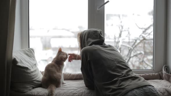 Girl Plays with a Cat By the Window