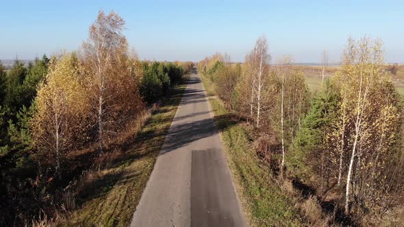 Autumn landscape. Flying over the road