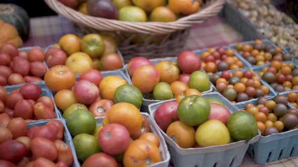 Steadicam, motion shot of fresh organic cherry tomatoes at a farmer’s market. alt