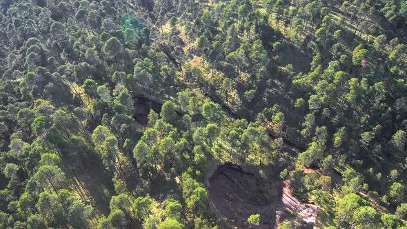 Aerial footage above Mexican forest