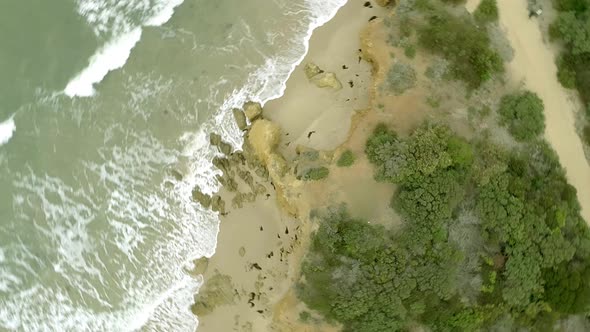 Bird's eye view of a beautiful beach in australia, Sea waves on the beautiful beach aerial view