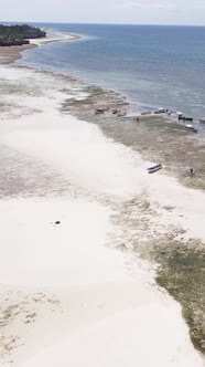 Tanzania  Vertical Video of Low Tide in the Ocean Near the Coast of Zanzibar Slow Motion alt