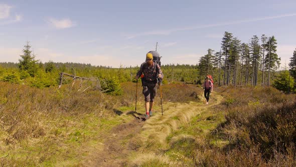 Hiking couple: two hikers (man and woman) walking together on the trail with backpacks, alt