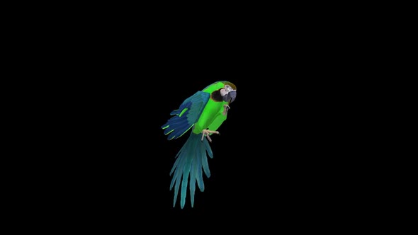 Parrot alt