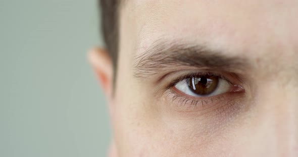 Businessman's Tired Eyes alt