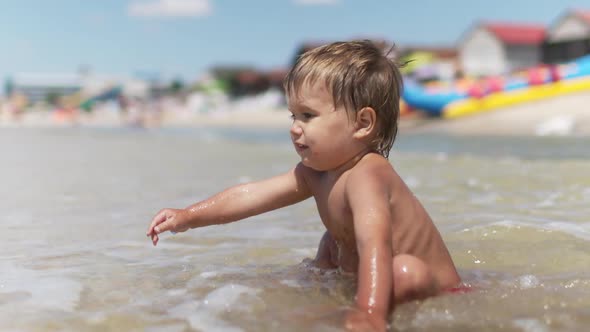 Kid Collects Shells and Pebbles in the Sea on a Sandy Bottom Under the Summer Sun on a Vacation alt