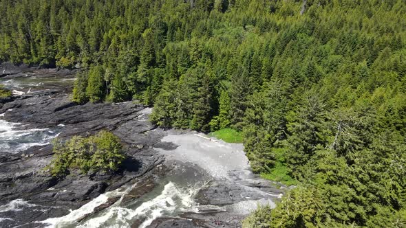 Aerial 4k footage of botany bay on Vancouver Island's wild west coast during sunny spring day. Lush alt