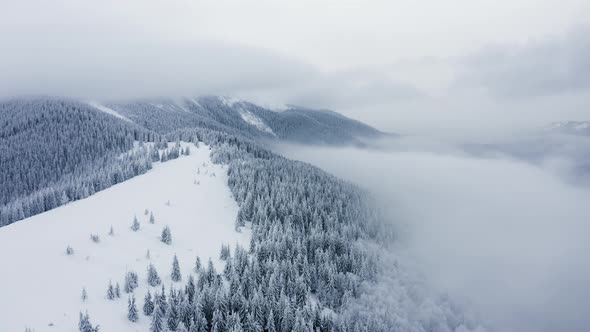 Aerial view of Winter Forest Snow Covered Winter Trees Alpine Landscape alt