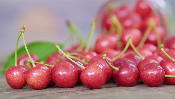Closeup Dolly Slider Shot of Scattered Ripe and Red Wild Cherries on the Table