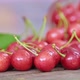 Closeup Dolly Slider Shot of Scattered Ripe and Red Wild Cherries on the Table - VideoHive Item for Sale