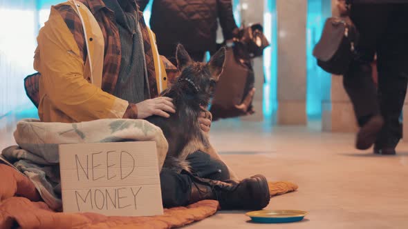 A Beggar with a Dog are Sitting in the Underpass alt