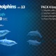 Two Dolphins 13 - VideoHive Item for Sale