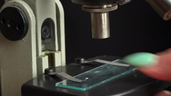 Microscope Glass and Magnifying Glass Rise Close Up alt