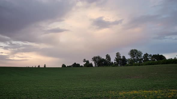 Green Field and Sunset