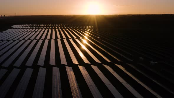 Solar farm at sunrise