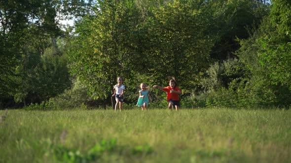 Front View Three Little Girls Run on the Grass Sunny Day alt