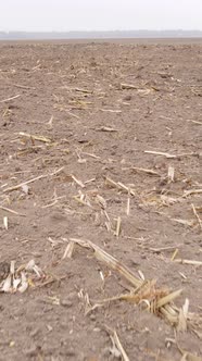 Vertical Video of a Field with Plowed Land in Autumn Slow Motion alt