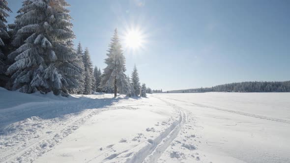 A Crosscountry Skiing Trail in a Snowcovered Landscape on a Sunny Day alt