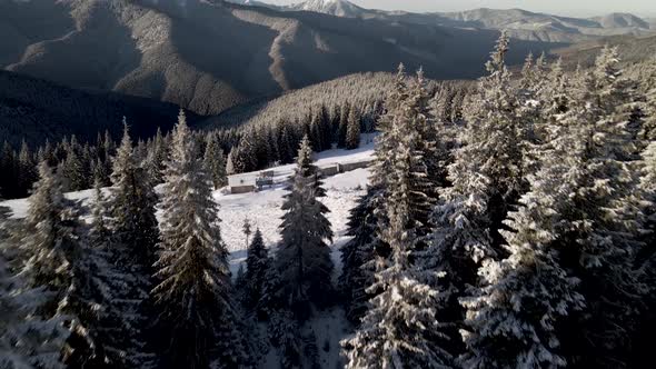 Drone Flying Above Winter Forest Unveiling Mountain Range alt
