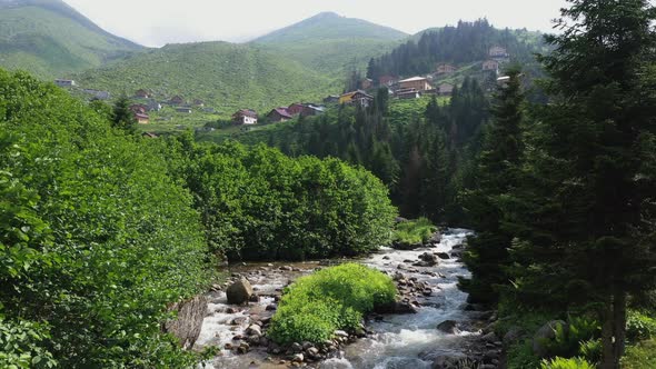 Highland landscape with stream flowing through the forest