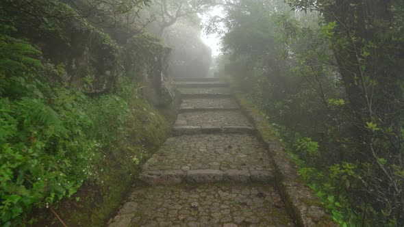 Stone Path Leading to Upper Moors Castle Part with Mist Covering Whole Area