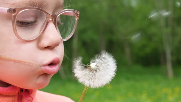 Girl Child Holding and Blowing on a Dandelion