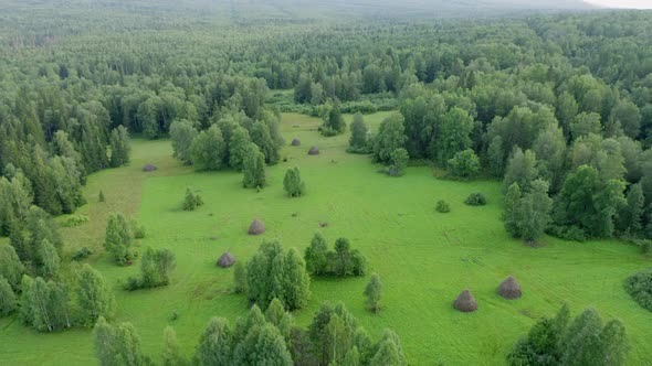 Aerial view. drone moving over the mixed forest in the evening