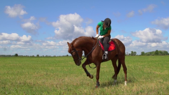 Woman Ride Horse Hoof Beats And Play With Rider alt