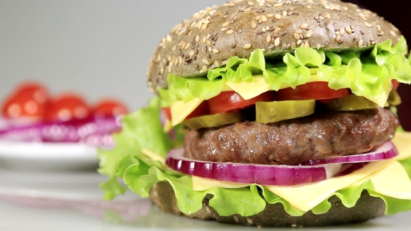 Beef Burger Meal On a Bun With Squid Ink  alt