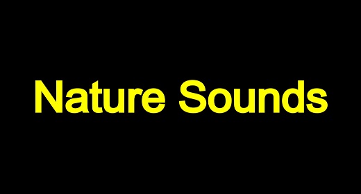 Nature Sounds