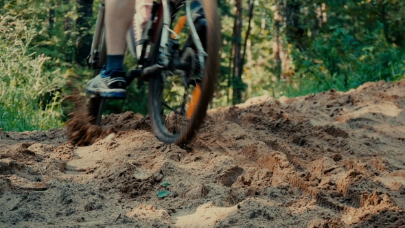 Cyclist Rides Through The Forest