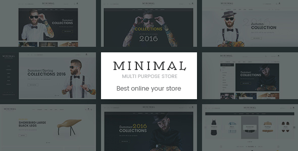 Minimal Mutil-Concept - ThemeForest 17186180
