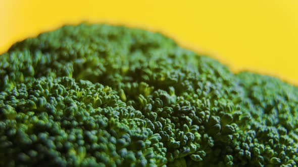 Close Up Green Fresh Broccoli Vegetables Rotating alt