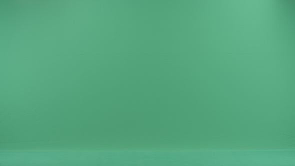 Young Woman With Shop Bags alt