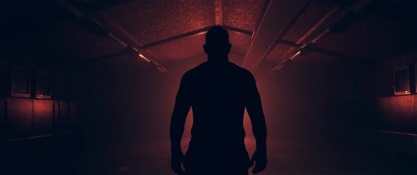 Boxer Silhouette alt