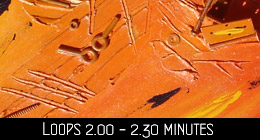 Dreamweaver Loops 2.00 - 2.30 minutes